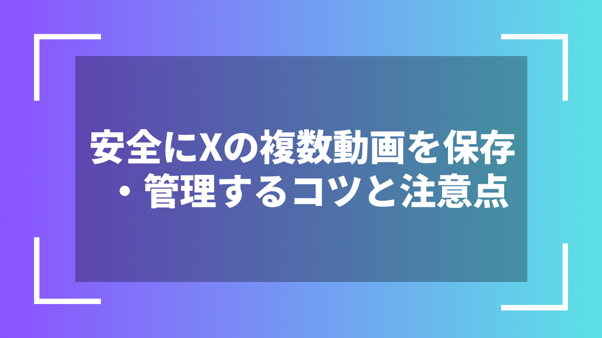 安全にXの複数動画を保存・管理するコツと注意点