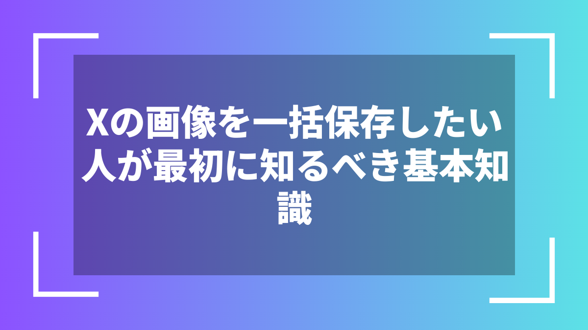Xの画像を一括保存したい人が最初に知るべき基本知識